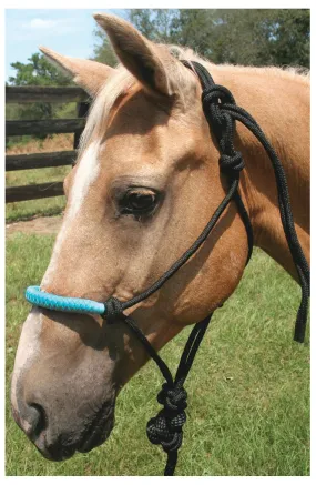 Jeffers Solid Nose Braided Poly Rope Horse Halter & Lead Set