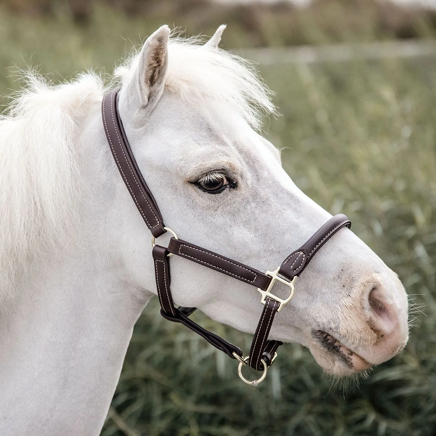 Kentucky Horsewear Pony Sheepskin and Leather Headcollar