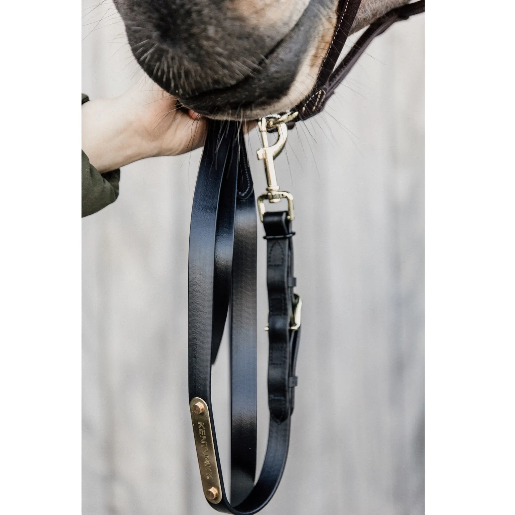 Kentucky Horsewear Presentation Lead