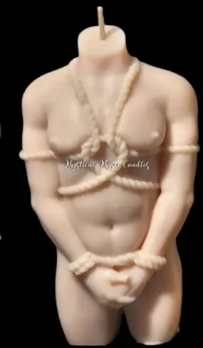 Male Shibari Torso